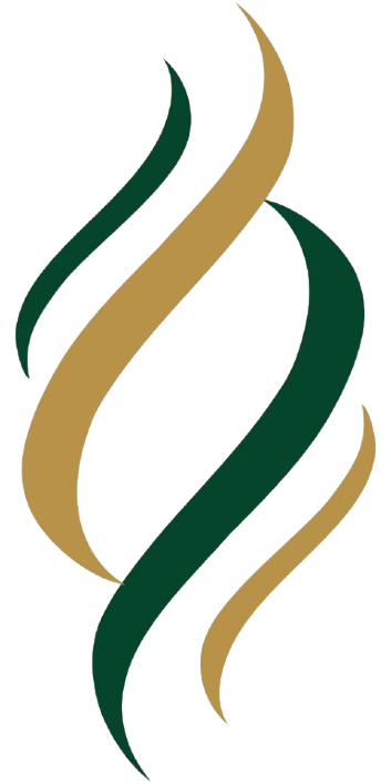 تقنية الارتفاع